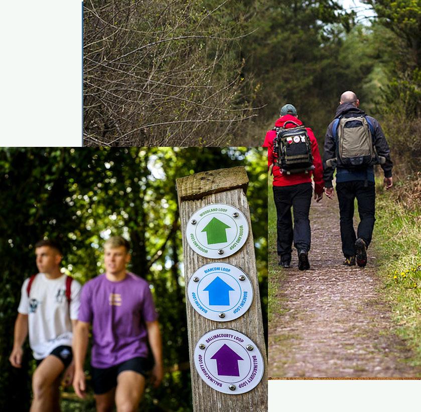 Walking in the Glen of Aherlow Aherlow Failte Society